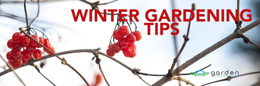 winter tips